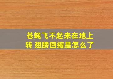 苍蝇飞不起来在地上转 翅膀回缩是怎么了